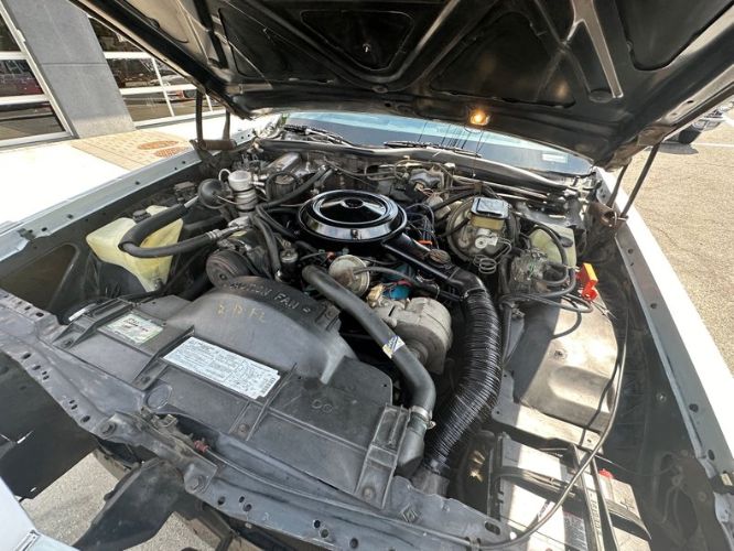 Oldsmobile-98-1982-Silvergray-Blue-Velour-22