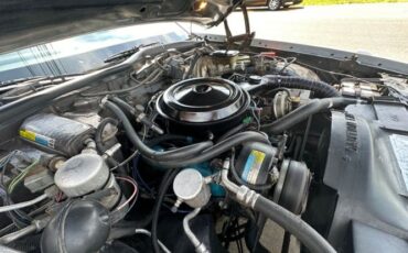 Oldsmobile-98-1982-Silvergray-Blue-Velour-23