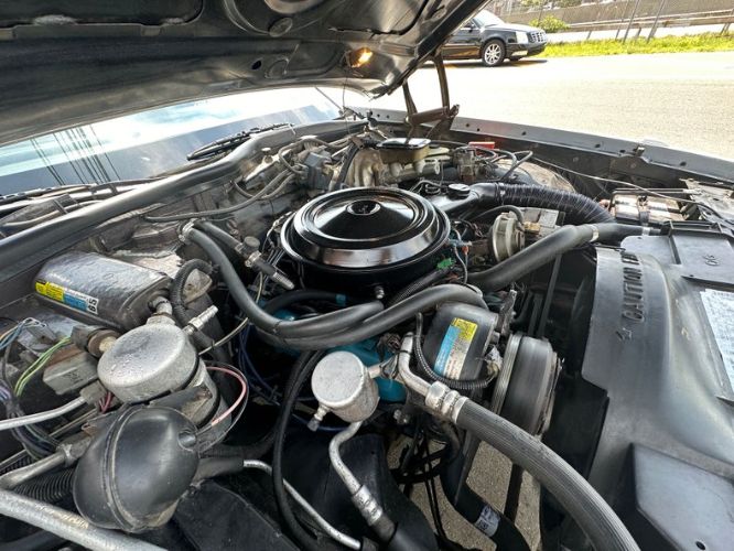 Oldsmobile-98-1982-Silvergray-Blue-Velour-23