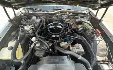 Oldsmobile-98-1982-Silvergray-Blue-Velour-24