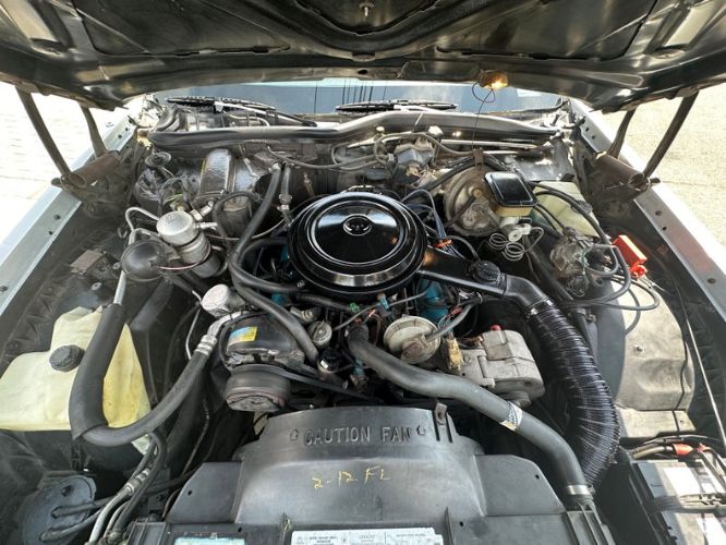 Oldsmobile-98-1982-Silvergray-Blue-Velour-24