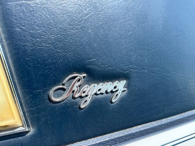 Oldsmobile-98-1982-Silvergray-Blue-Velour-27