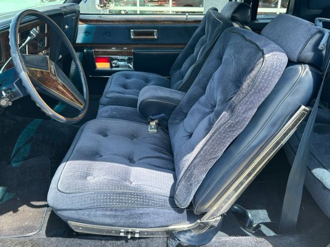 Oldsmobile-98-1982-Silvergray-Blue-Velour-28
