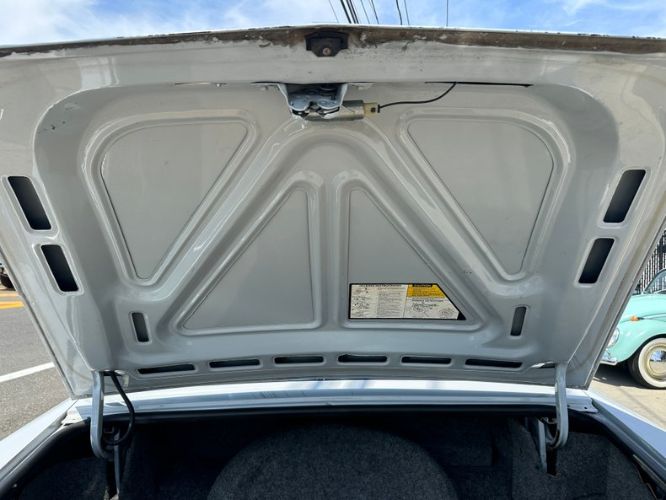 Oldsmobile-98-1982-Silvergray-Blue-Velour-5