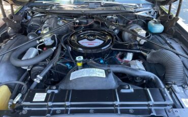 Oldsmobile-Cutlass-1975-Coupe-16