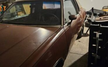 Oldsmobile-Cutlass-1979-5