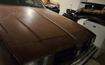 Oldsmobile-Cutlass-1979-7