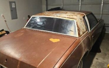 Oldsmobile-Cutlass-1979-8