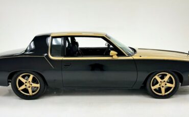 Oldsmobile-Cutlass-1979-Black-Black-8