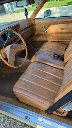 Oldsmobile-Cutlass-1979-Yellow-2
