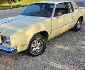 Oldsmobile-Cutlass-1979-Yellow-5