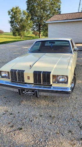 Oldsmobile-Cutlass-1979-Yellow-8