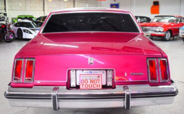 Oldsmobile-Cutlass-1980-Coupe-13