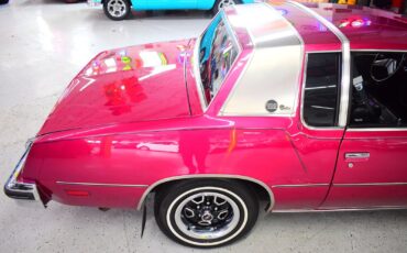 Oldsmobile-Cutlass-1980-Coupe-6