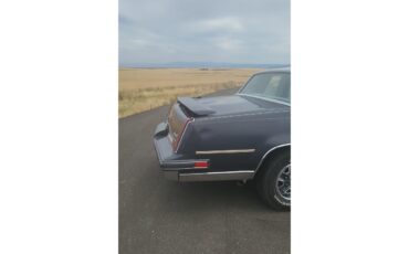 Oldsmobile-Cutlass-1982-charcoal-gray-18