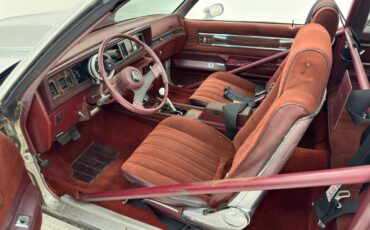 Oldsmobile-Cutlass-1984-Silver-Metallic-Dark-Maple-Red-9