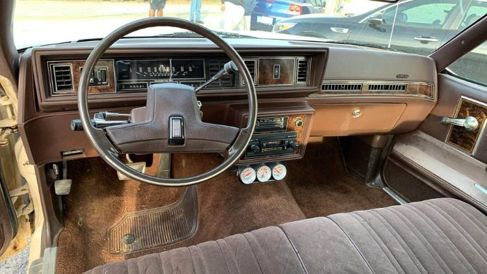 Oldsmobile-Cutlass-1984-Tan-3