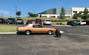 Oldsmobile-Cutlass-supreme-1971-custom-3