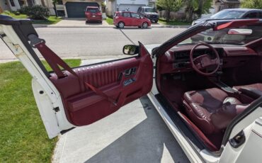 Oldsmobile-Cutlass-supreme-1992-White-Red-24