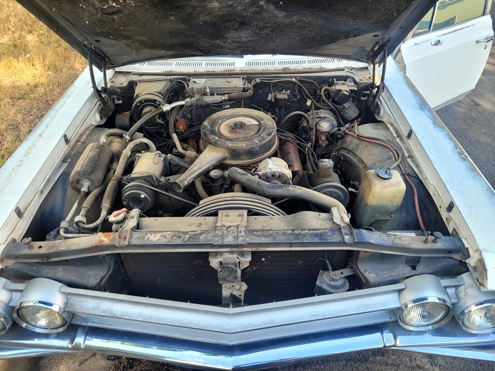 Oldsmobile-Delta-88-1965-11