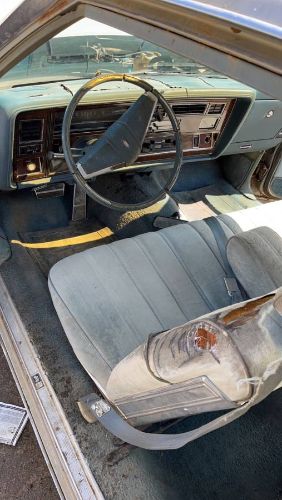 Oldsmobile-Delta-88-1977-Gray-1