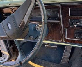 Oldsmobile-Delta-88-1977-Gray-4