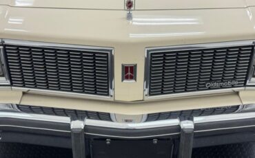 Oldsmobile-Delta-88-1984-Frost-Beige-Brown-14