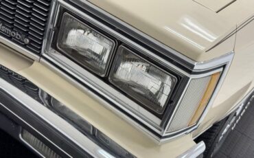 Oldsmobile-Delta-88-1984-Frost-Beige-Brown-15