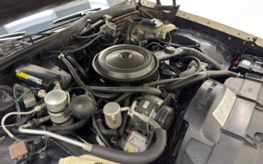 Oldsmobile-Delta-88-1984-Frost-Beige-Brown-26