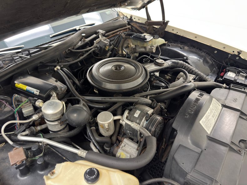 Oldsmobile-Delta-88-1984-Frost-Beige-Brown-26