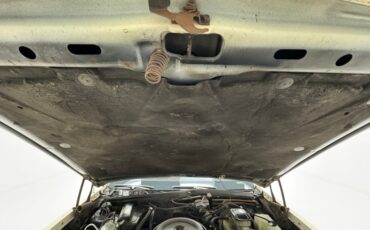 Oldsmobile-Delta-88-1984-Frost-Beige-Brown-28