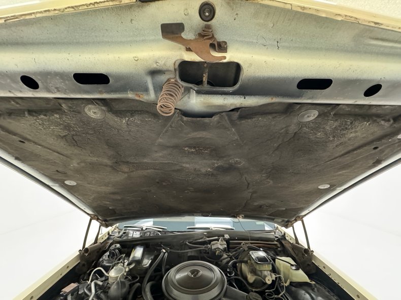 Oldsmobile-Delta-88-1984-Frost-Beige-Brown-28