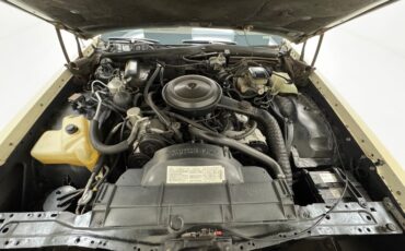 Oldsmobile-Delta-88-1984-Frost-Beige-Brown-29