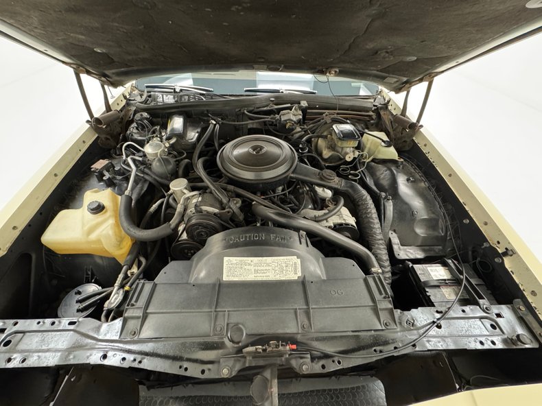 Oldsmobile-Delta-88-1984-Frost-Beige-Brown-29