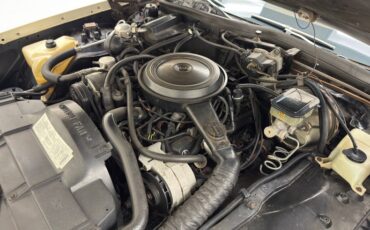 Oldsmobile-Delta-88-1984-Frost-Beige-Brown-30