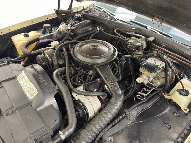 Oldsmobile-Delta-88-1984-Frost-Beige-Brown-30