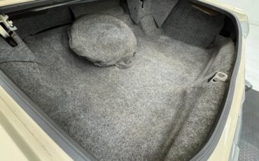 Oldsmobile-Delta-88-1984-Frost-Beige-Brown-32