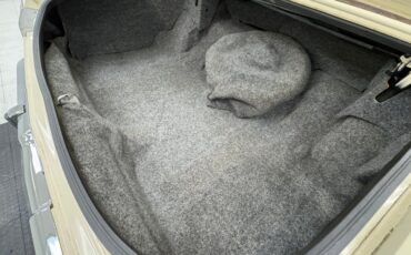 Oldsmobile-Delta-88-1984-Frost-Beige-Brown-34