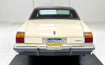 Oldsmobile-Delta-88-1984-Frost-Beige-Brown-9
