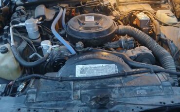 Oldsmobile-Delta-88-1985-2