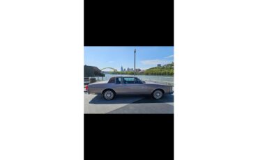 Oldsmobile-Delta-88-royale-1983-Sandstone-Redwood-Brown-2
