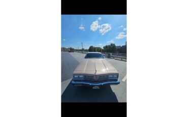 Oldsmobile-Delta-88-royale-1983-Sandstone-Redwood-Brown-3
