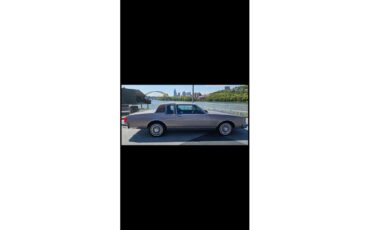 Oldsmobile-Delta-88-royale-1983-Sandstone-Redwood-Brown-5