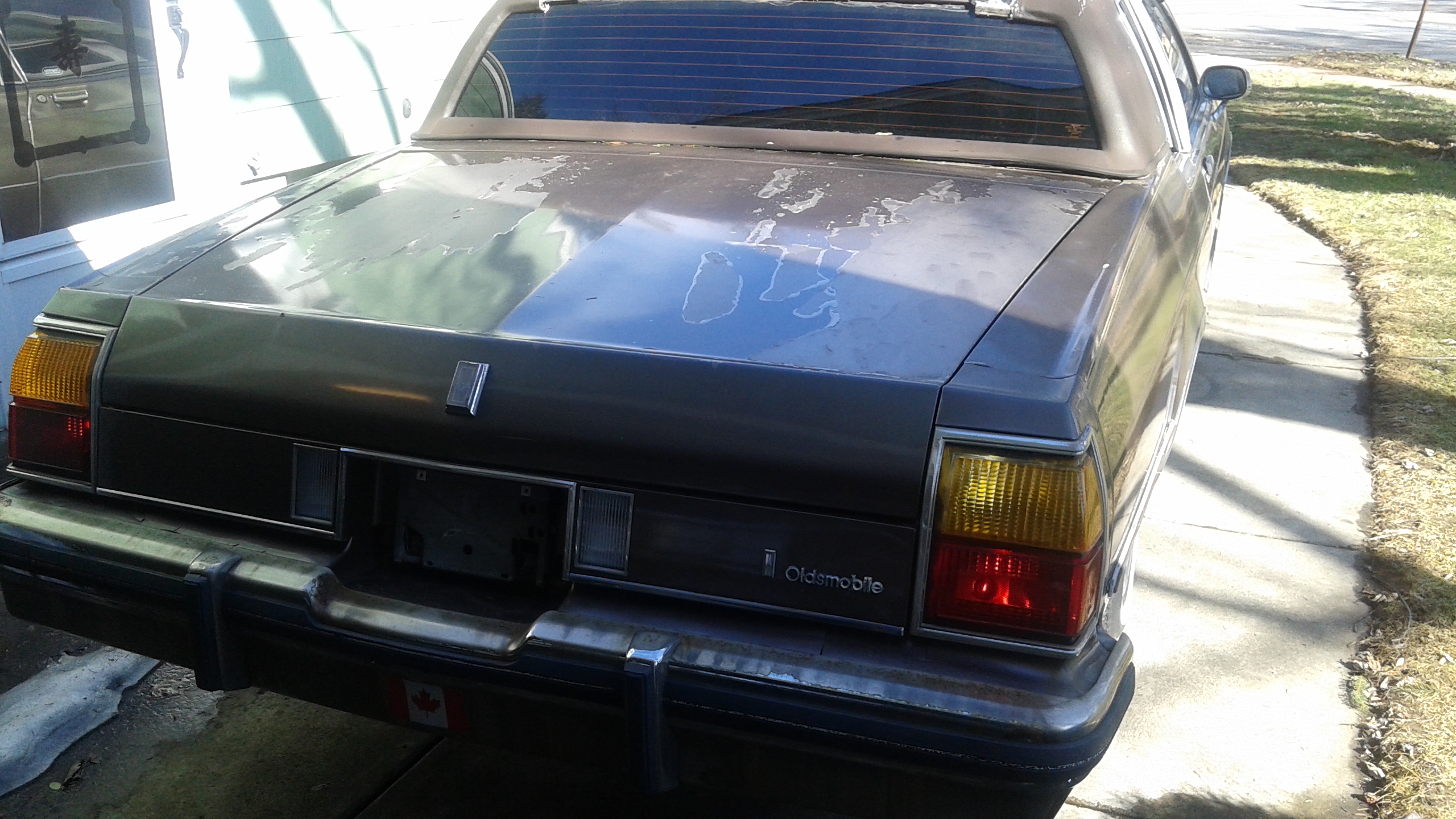 Oldsmobile-Delta-royale-1984-Silver-Blue-4