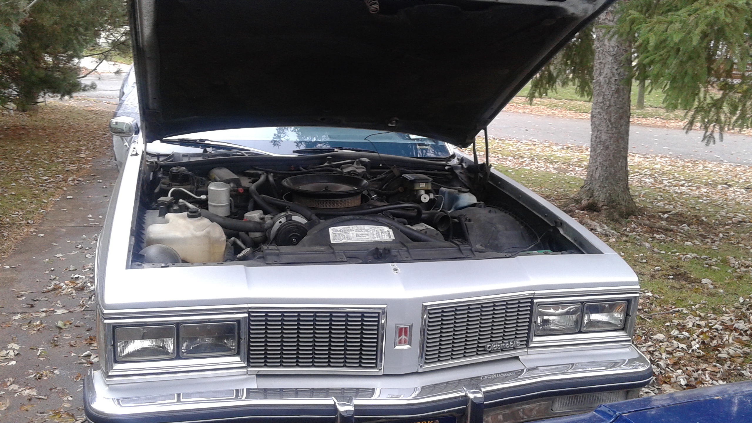 Oldsmobile-Delta-royale-1984-Silver-Blue