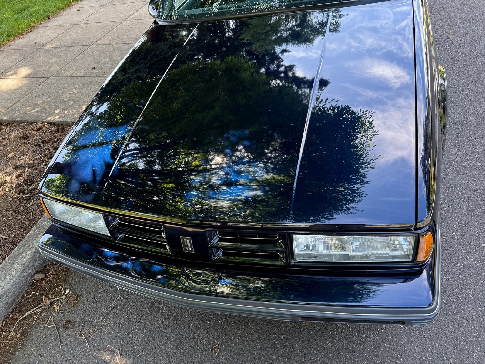 Oldsmobile-Eighty-Eight-1990-Sedan-6