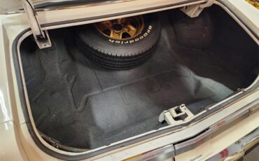 Oldsmobile-Hurst-1974-White-Black-3