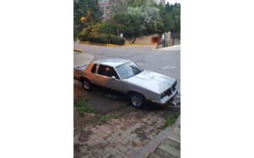 Oldsmobile-Hurst-1984-Silver-Red-8