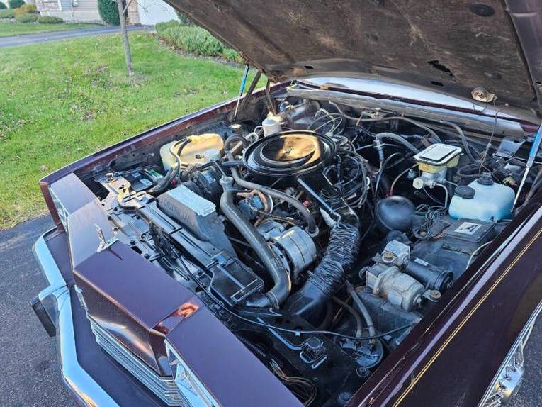 Oldsmobile-Toronado-1985-Burgandy-Burgandy-11