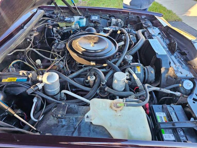 Oldsmobile-Toronado-1985-Burgandy-Burgandy-14